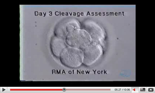 Inside the RMA of New York IVF Laboratory